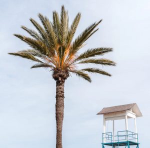 Auto huuren & huurauto in Larnaca