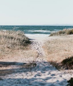 Auto huuren & huurauto in Frederikshavn