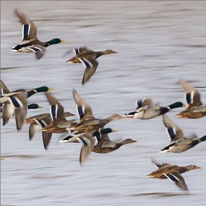 Auto huren & autoverhuur Luchthaven Ronneby