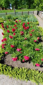 Auto huuren & huurauto in Landskrona