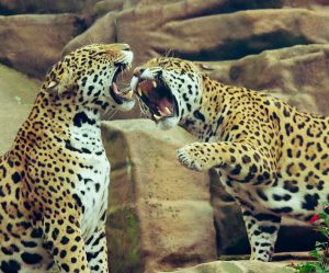 Auto huuren & huurauto in Eskilstuna