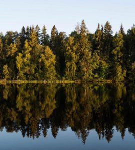 Auto huuren & huurauto in Borlänge