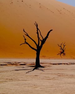 Auto huuren & huurauto in Windhoek