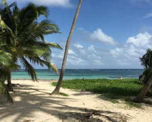 Goedkope autoverhuur in Martinique