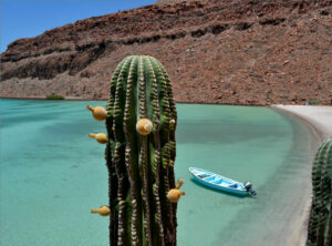 Goedkope autoverhuur in Baja California