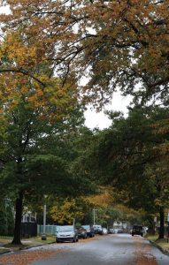 Auto huren & autohuur in New Jersey