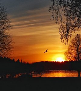 Auto huren & autoverhuur Luchthaven Vaasa