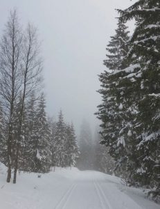 Auto huren & autoverhuur Luchthaven Karlstad