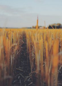 Auto huren & autoverhuur Luchthaven Lidköping-Hovby