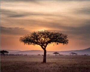 Goedkope autoverhuur in Queenstown