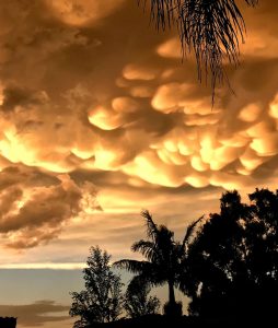 Auto huuren & huurauto in Pretoria