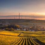 Deze wijnregio’s in Duitsland moet je een keer bezocht hebben