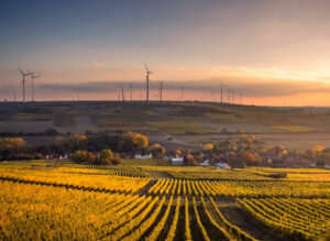 Deze wijnregio’s in Duitsland moet je een keer bezocht hebben